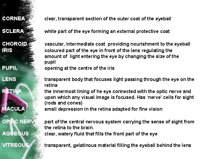 CORNEA clear, transparent section of the outer coat of the eyeball SCLERA white part