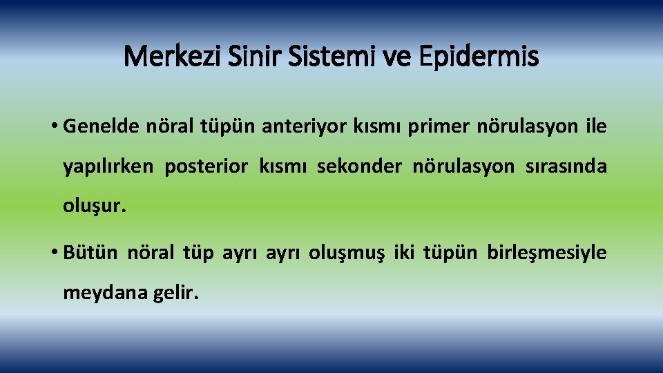 Merkezi Sinir Sistemi ve Epidermis • Genelde nöral tüpün anteriyor kısmı primer nörulasyon ile