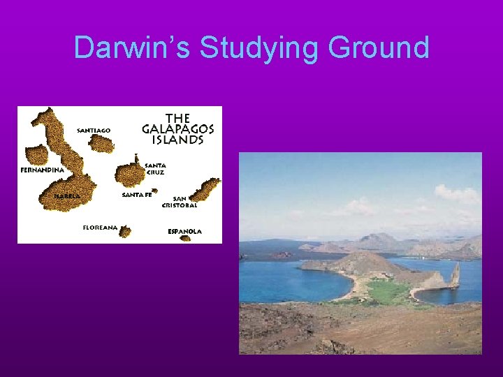 Darwin’s Studying Ground 