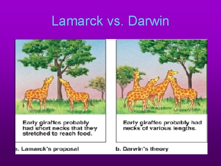 Lamarck vs. Darwin 