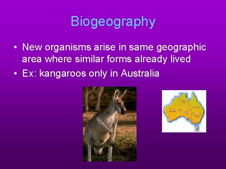 Biogeography • New organisms arise in same geographic area where similar forms already lived