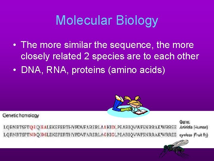 Molecular Biology • The more similar the sequence, the more closely related 2 species