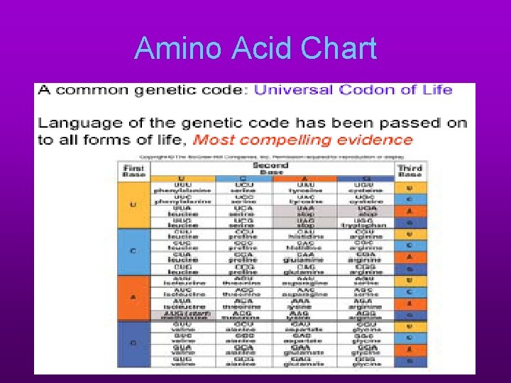 Amino Acid Chart 