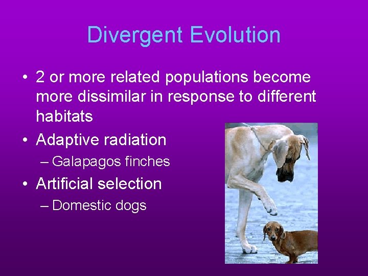 Divergent Evolution • 2 or more related populations become more dissimilar in response to