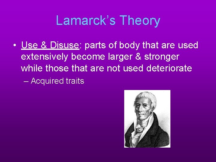 Lamarck’s Theory • Use & Disuse: parts of body that are used extensively become