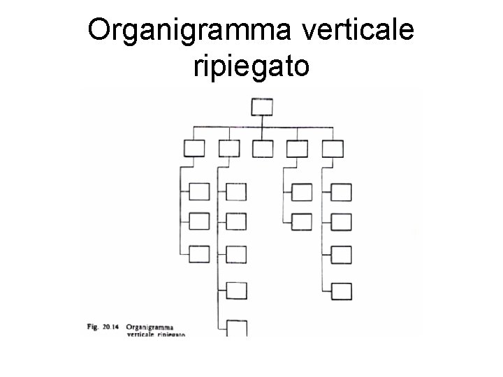 Organigramma verticale ripiegato 