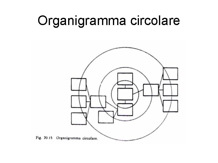 Organigramma circolare 