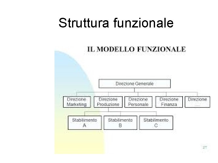 Struttura funzionale 
