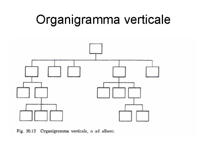 Organigramma verticale 