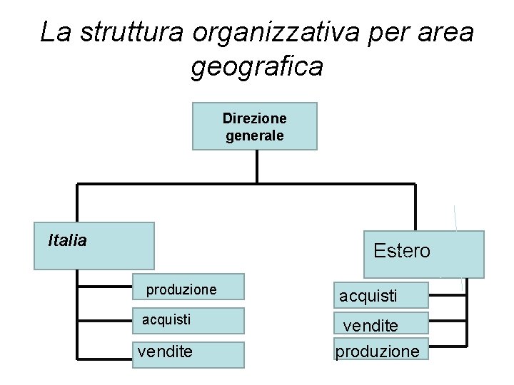 La struttura organizzativa per area geografica Direzione generale Italia Estero produzione acquisti vendite produzione