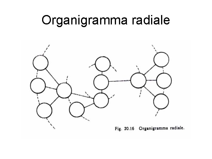 Organigramma radiale 