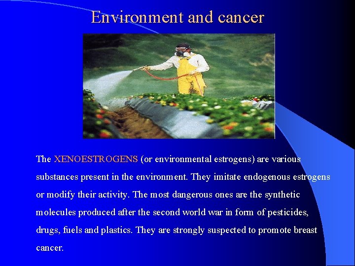 Environment and cancer The XENOESTROGENS (or environmental estrogens) are various substances present in the