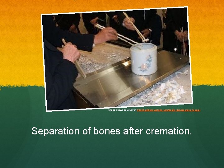 Image shown courtesy of http: //traditionscustoms. com/death-rites/japanese- funeral Separation of bones after cremation. 
