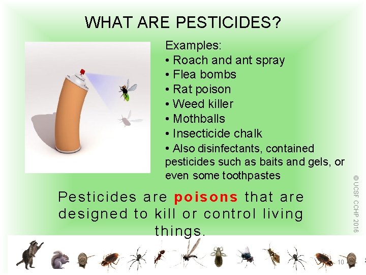 WHAT ARE PESTICIDES? Examples: • Roach and ant spray • Flea bombs • Rat