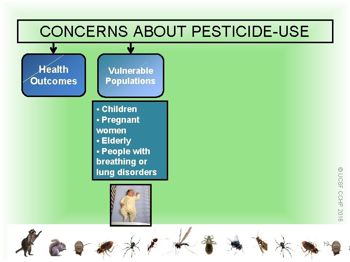 CONCERNS ABOUT PESTICIDE-USE Health Outcomes Vulnerable Populations © UCSF CCHP 2016 • Children •