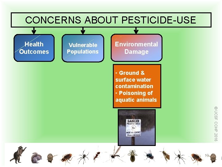 CONCERNS ABOUT PESTICIDE-USE Health Outcomes Vulnerable Populations Environmental Damage • Ground & surface water