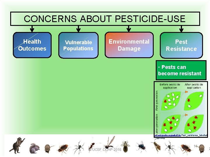 CONCERNS ABOUT PESTICIDE-USE Health Outcomes Vulnerable Populations Environmental Damage Pest Resistance • Pests can