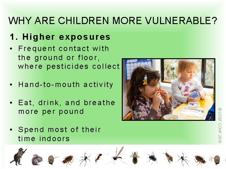  WHY ARE CHILDREN MORE VULNERABLE? 1. Higher exposures • Frequent contact with the