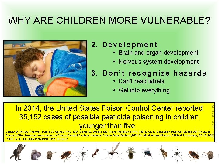  WHY ARE CHILDREN MORE VULNERABLE? 2. Development • Brain and organ development •