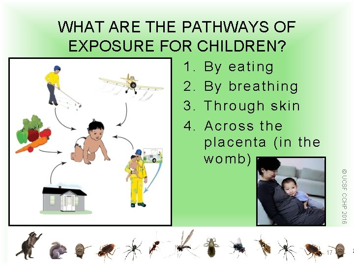 WHAT ARE THE PATHWAYS OF EXPOSURE FOR CHILDREN? 1. 2. 3. 4. By eating