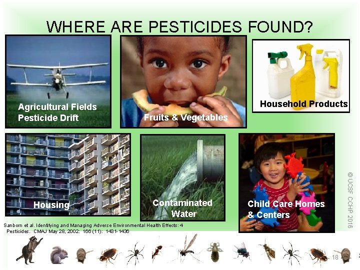 WHERE ARE PESTICIDES FOUND? Agricultural Fields Pesticide Drift Fruits & Vegetables Contaminated Water ©