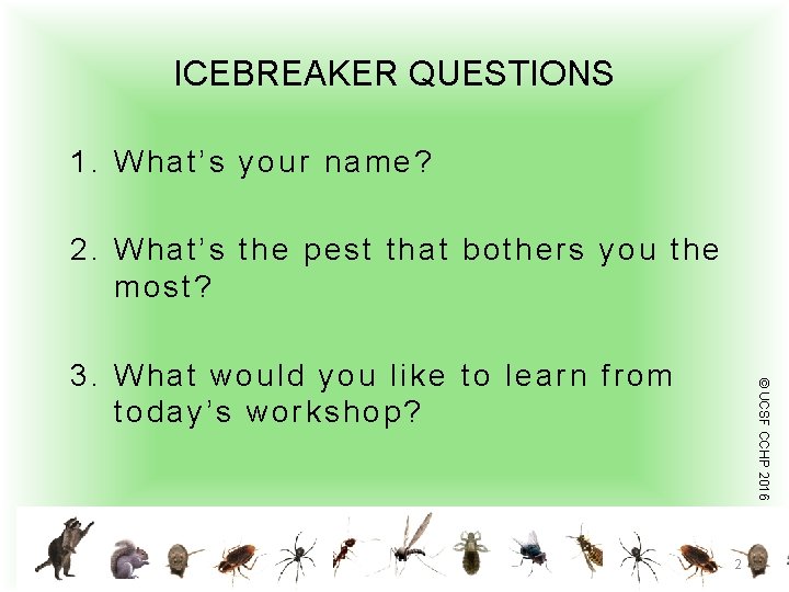 ICEBREAKER QUESTIONS 1. What’s your name? 2. What’s the pest that bothers you the