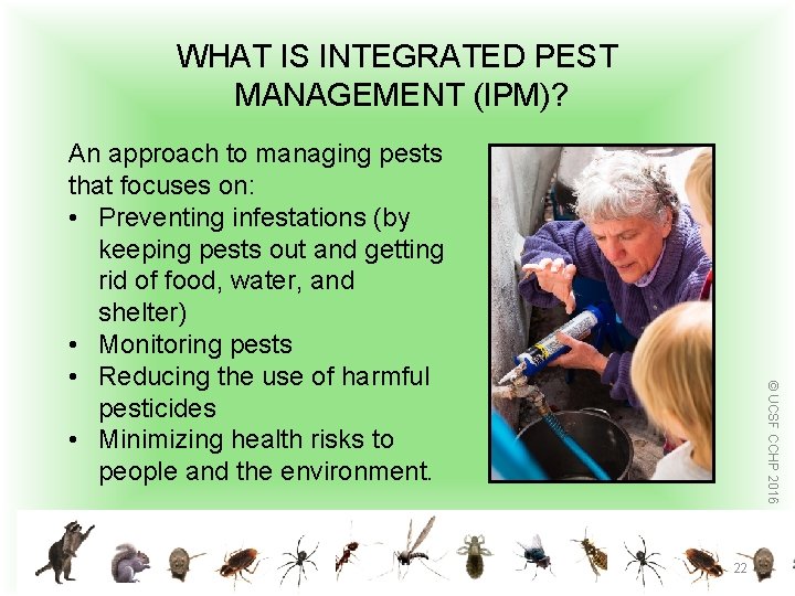 WHAT IS INTEGRATED PEST MANAGEMENT (IPM)? © UCSF CCHP 2016 An approach to managing