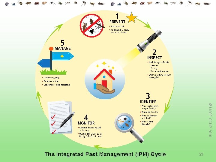 © UCSF CCHP 2016 The Integrated Pest Management (IPM) Cycle 23 