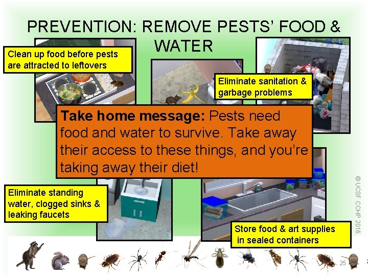 PREVENTION: REMOVE PESTS’ FOOD & WATER Clean up food before pests are attracted to