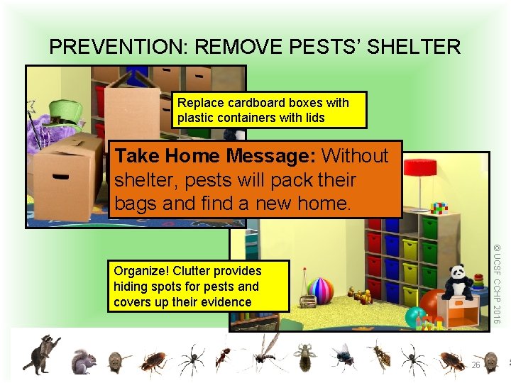 PREVENTION: REMOVE PESTS’ SHELTER Replace cardboard boxes with plastic containers with lids Take Home