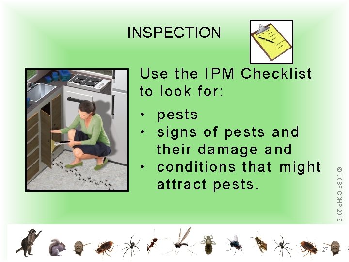 INSPECTION Use the IPM Ch eckli st to loo k f or: © UCSF