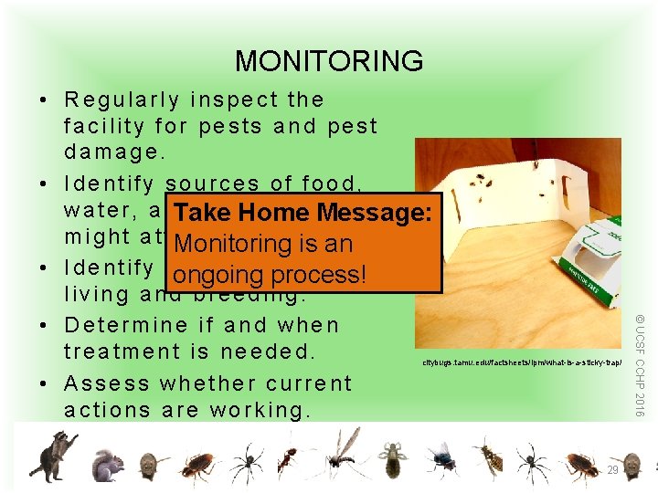MONITORING citybugs. tamu. edu/factsheets/ipm/what-is-a-sticky-trap/ 29 © UCSF CCHP 2016 • Regularly inspect the facility