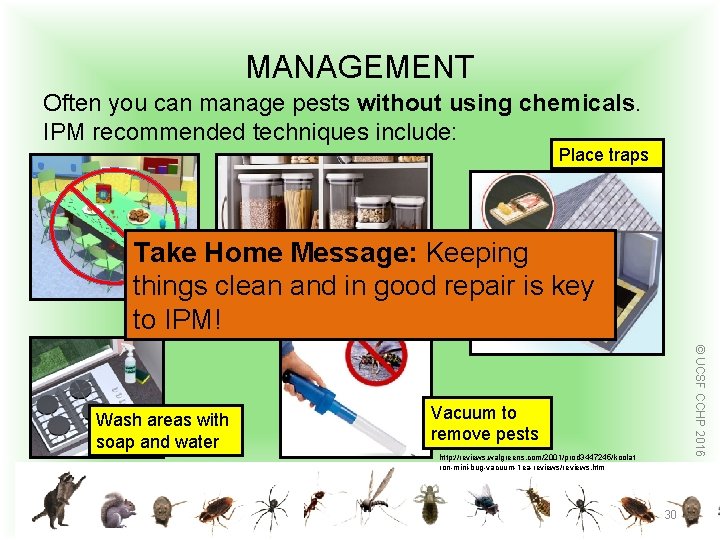 MANAGEMENT Often you can manage pests without using chemicals. IPM recommended techniques include: Place