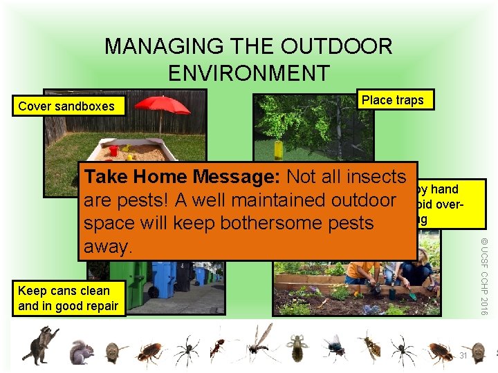 MANAGING THE OUTDOOR ENVIRONMENT Cover sandboxes Place traps Keep cans clean and in good