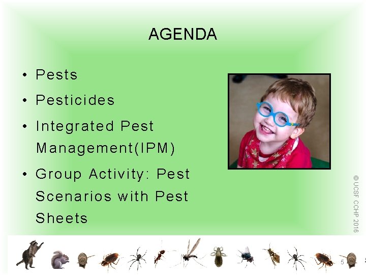 AGENDA • Pests • Pesticides • Integrated Pest Management(IPM) © UCSF CCHP 2016 •