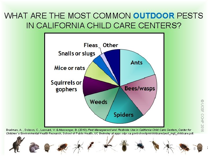 WHAT ARE THE MOST COMMON OUTDOOR PESTS IN CALIFORNIA CHILD CARE CENTERS? 8 ©