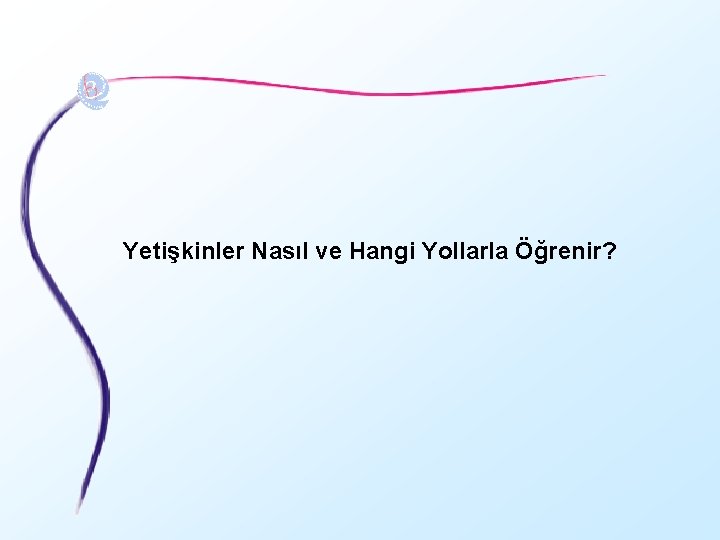 Yetişkinler Nasıl ve Hangi Yollarla Öğrenir? 