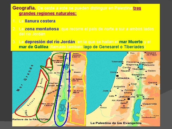 Geografía. De oeste a este se pueden distinguir en Palestina tres grandes regiones naturales: