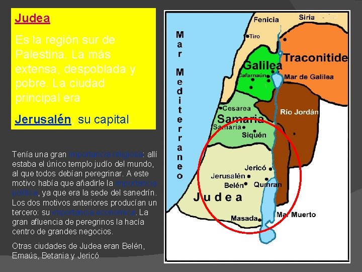 Judea Es la región sur de Palestina. La más extensa, despoblada y pobre. La