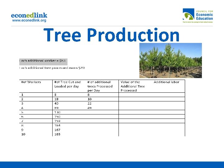 Tree Production 