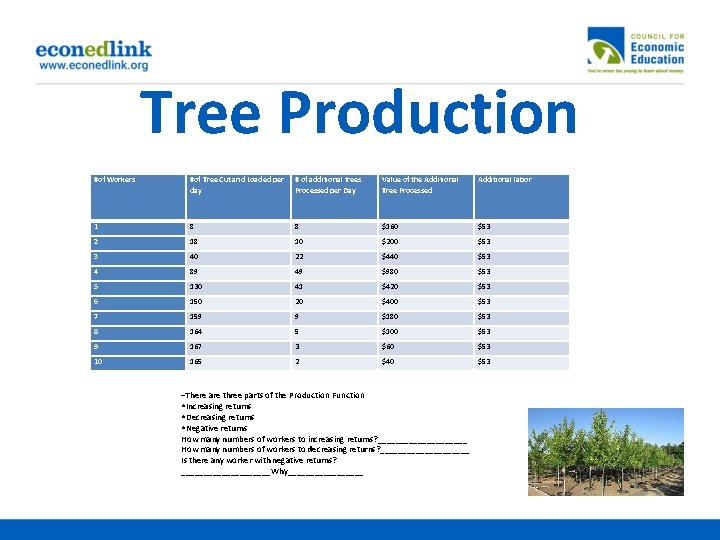 Tree Production #of Workers #of Tree Cut and Loaded per day # of additional