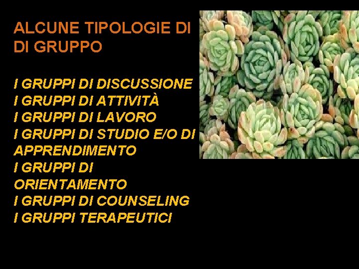 ALCUNE TIPOLOGIE DI DI GRUPPO I GRUPPI DI DISCUSSIONE I GRUPPI DI ATTIVITÀ I