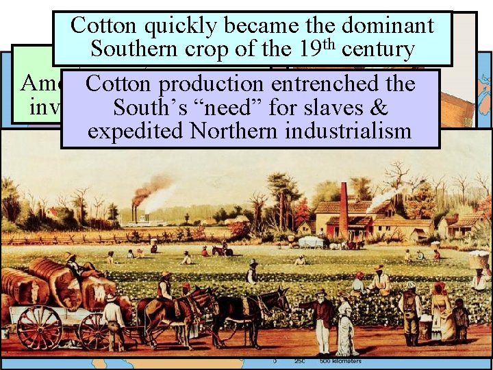 Cotton became the dominant Thequickly U. S. Economy in 1800 th century Southern crop