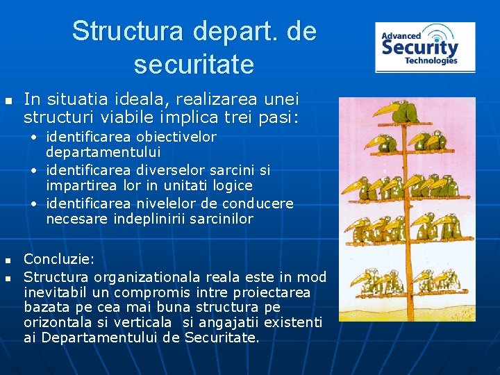 Structura depart. de securitate n In situatia ideala, realizarea unei structuri viabile implica trei