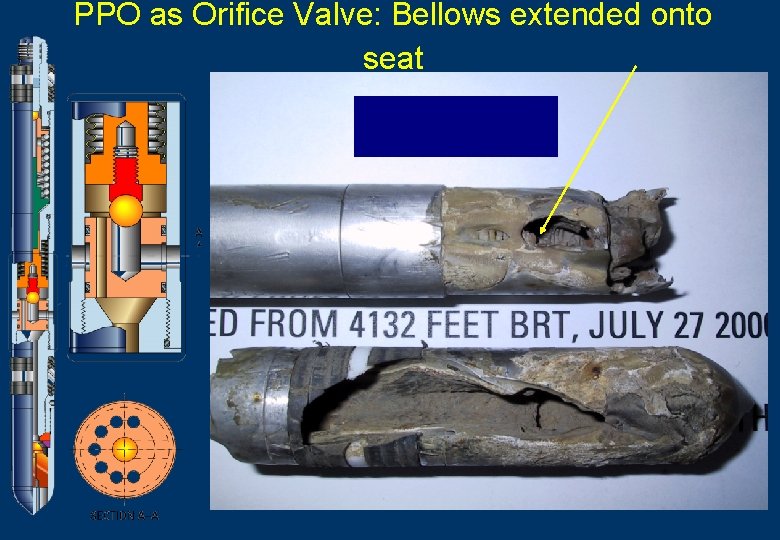 PPO as Orifice Valve: Bellows extended onto seat 