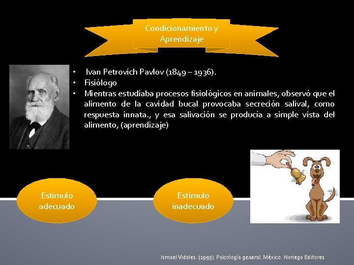 Condicionamiento y Aprendizaje • Ivan Petrovich Pavlov (1849 – 1936). • Fisiólogo • Mientras