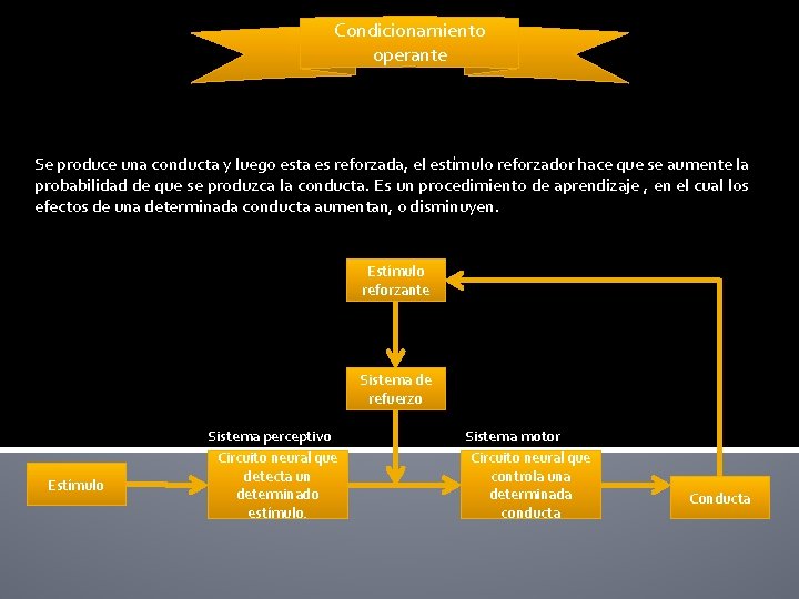 Condicionamiento operante Se produce una conducta y luego esta es reforzada, el estímulo reforzador