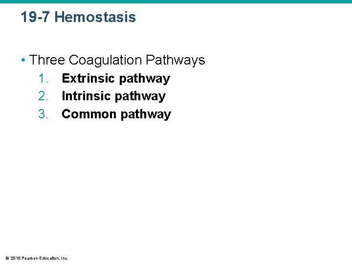 19 -7 Hemostasis • Three Coagulation Pathways 1. Extrinsic pathway 2. Intrinsic pathway 3.