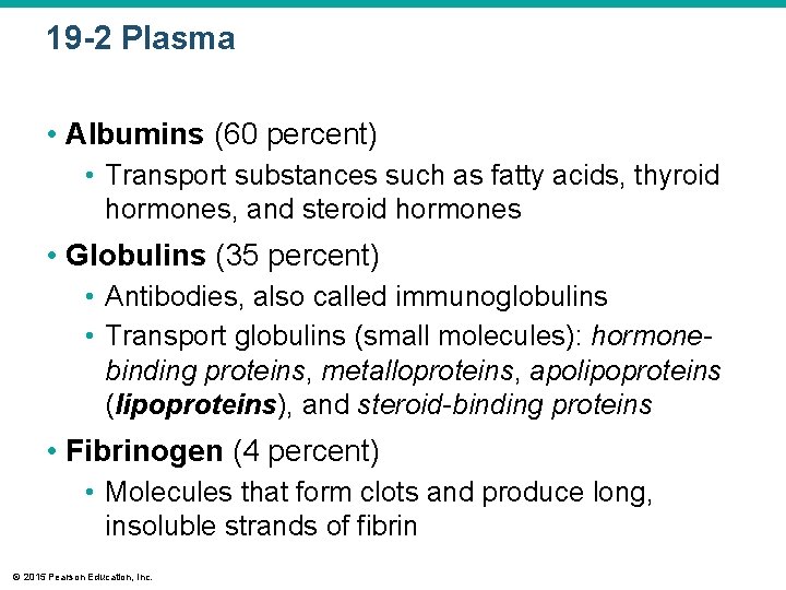 19 -2 Plasma • Albumins (60 percent) • Transport substances such as fatty acids,