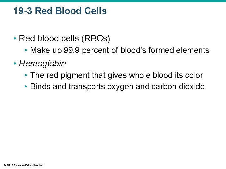19 -3 Red Blood Cells • Red blood cells (RBCs) • Make up 99.